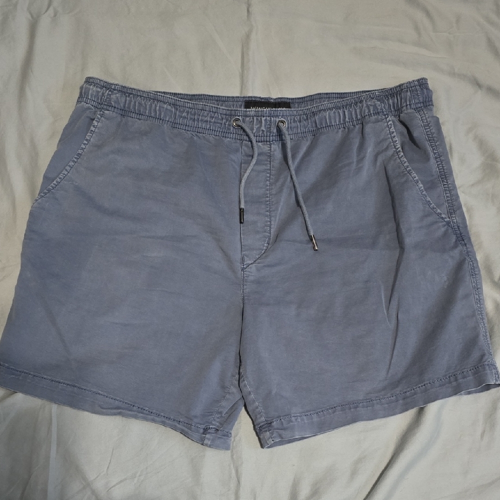 American Eagle Outfitters Men's Gray Flat Front Shorts
